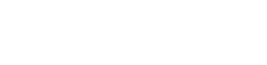 1919